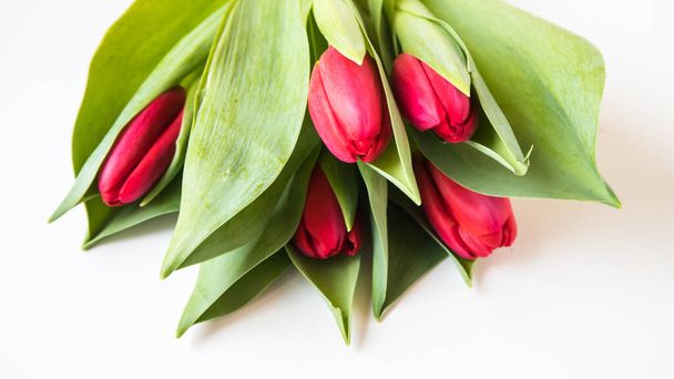 Bouquet of tulips isolated on white background - Fotó, kép