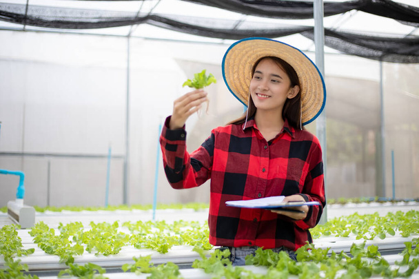 Agricoltrice asiatica che utilizza tablet e notebook per ispezionare la qualità degli ortaggi biologici coltivati con idroponica
. - Foto, immagini