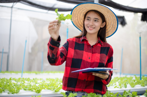 Mujer agricultora asiática usando tableta y cuaderno para inspeccionar la calidad de las verduras orgánicas cultivadas usando hidroponía
. - Foto, imagen