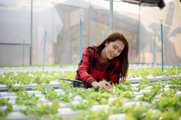 Aziatische vrouwelijke boer met behulp van tablet en notebook voor het inspecteren van de kwaliteit van biologische groenten geteeld met behulp van hydrocultuur. - Foto, afbeelding