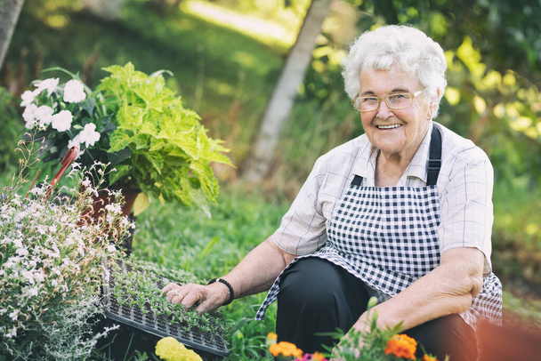 Portrait of happy senior woman while planting flowers - Foto, afbeelding