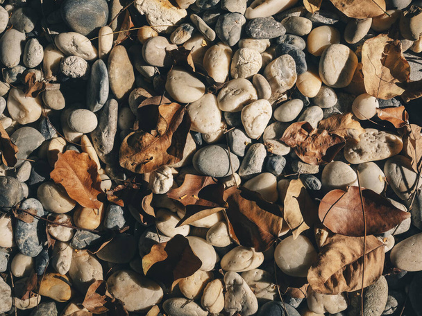 Kieselstein mit getrockneten Blättern Park Outdoor-Textur Natur Hintergrund - Foto, Bild
