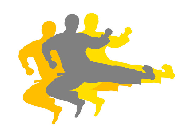 vektorová ilustrace karate fighter - Vektor, obrázek