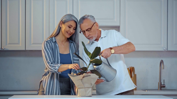 ευτυχισμένο ζευγάρι ηλικιωμένων και διαφυλετικών κοντά πράσινο φυτό  - Πλάνα, βίντεο