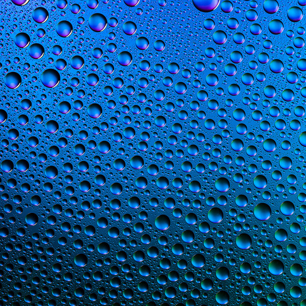 Vesipisarat spektrinen kaltevuus sininen valtameri värit sateenkaari värikäs helmikoristelu lotuseffekt tau tiivistys
 - Valokuva, kuva