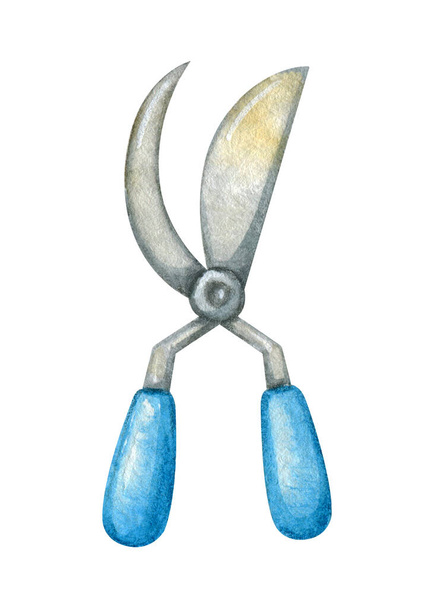 Beautifully textured secateurs illustration isolated on white background. Watercolor picture of a used blue metall gardening tool. - Photo, Image