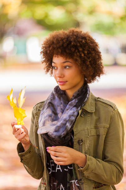 Herbst Outdoor-Porträt der schönen afrikanisch-amerikanischen jungen Frau - Foto, Bild