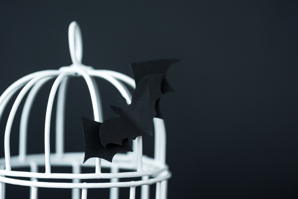 selective focus of origami bat near metallic cage isolated on black  - Foto, imagen