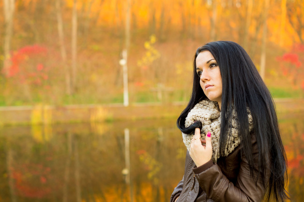 Giovane bella donna in autunno parco
 - Foto, immagini