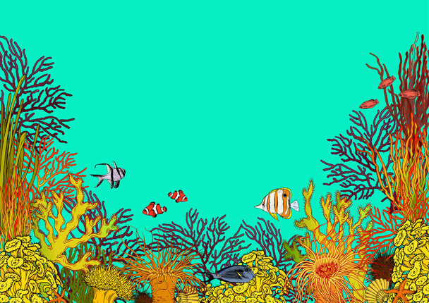 Colorful underwater scenery with corals, sea anemones and beautiful tropical fishes. - Vector, Imagen