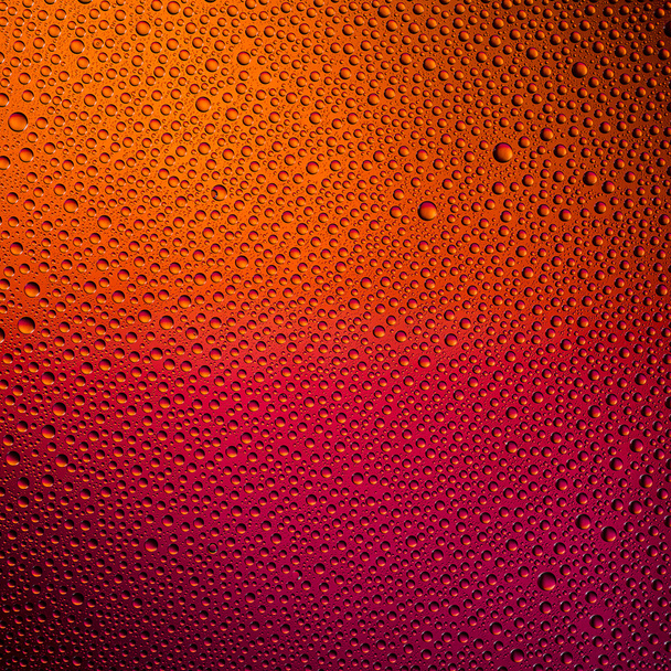 Water drops spectral gradient red orange summer sun colors rainbow colorful beading lotuseffekt tau sealing - Photo, Image