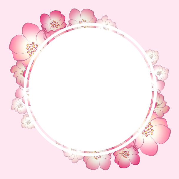 delicate pink romantic blooming flowers SPRING FRAME round sacura  - Fotografie, Obrázek