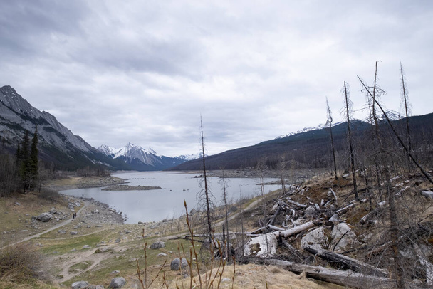 Мертвые деревья, уничтоженные лесным пожаром, озеро аль в центре, Канада
 - Фото, изображение