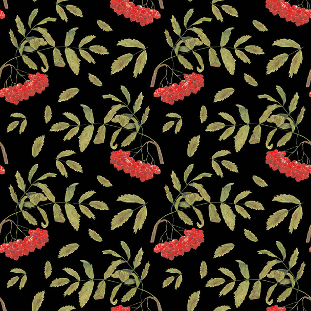 akwarela gałęzi Jarzębina z jagodami i pozostawia bezszwowe wzór na czarnym tle. motywem jesiennym. Tapeta, papier pakowy, tekstylny, odzież, tkanina, Dekoracja wnętrz - Zdjęcie, obraz