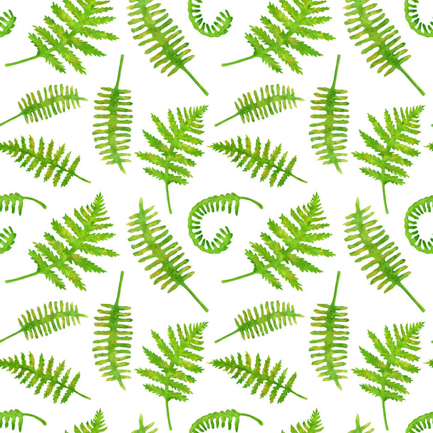 Акварельне зелене листя папороті безшовний візерунок. Пофарбовані вручну лісові рослини Поліподібні текстури ізольовані на білому тлі. Ілюстрація для прикраси, листівок, запрошень, текстилю, обгортання
 - Фото, зображення
