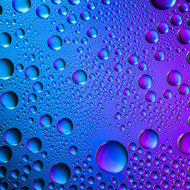 σταγόνες νερού φασματική κλίση μπλε Ωκεανό μοβ χρώματα ουράνιου τόξου πολύχρωμο beading lotuseffekt ταυ σφράγιση - Φωτογραφία, εικόνα