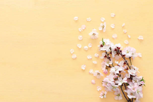 photo of spring white cherry blossom tree on pastel yellow wooden background. View from above, flat lay - Fotó, kép