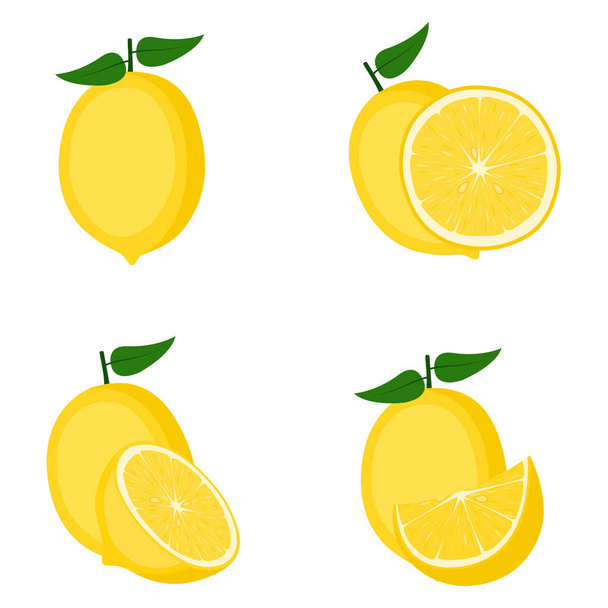 Limon, tam meyve, yarım dilim, vektör illüstrasyonu - Vektör, Görsel