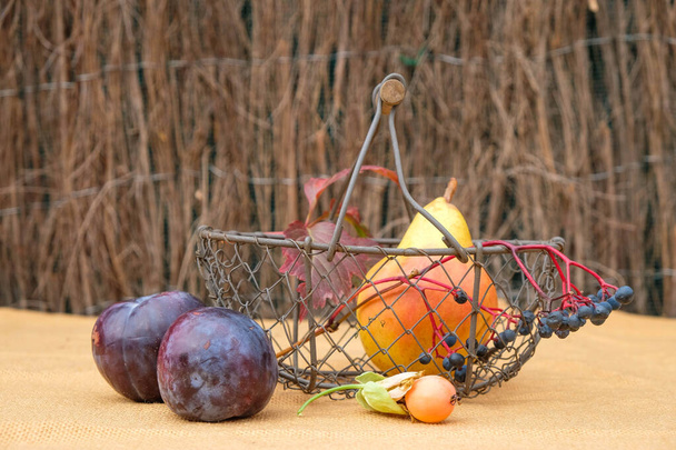 Fémfonott kosár, két lila szilva, körte és golgotavirág gyümölcs pasztell asztalterítőn Provence kertjében. Vidéki csendélet. Bioélelmiszer-koncepció. - Fotó, kép