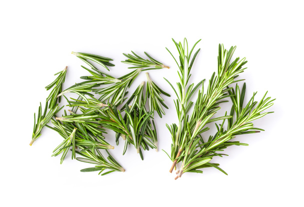 Rosemary isolated on white background, Top view. - Photo, Image