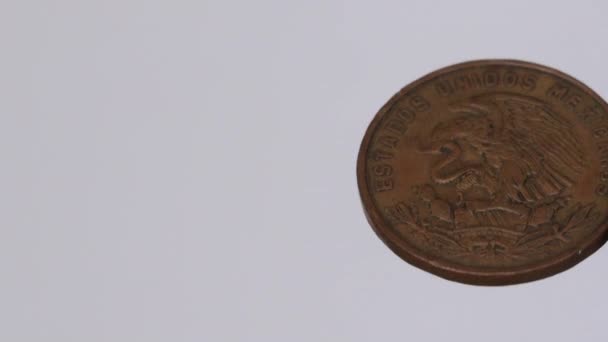 Vecchia moneta da 20 pesos del 1969 su sfondo bianco - Filmati, video