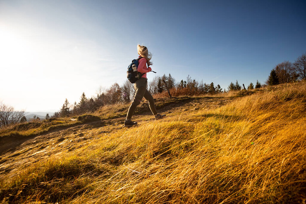Hiker young woman with backpack rises to the mountain top on mountains landscape background - Foto, Imagen