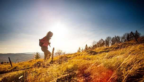 Hiker young woman with backpack rises to the mountain top on mountains landscape background - Photo, Image