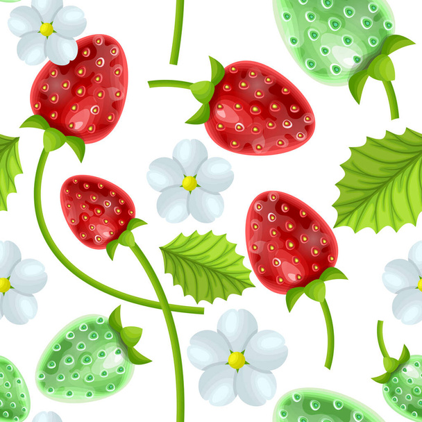 Seamless, endless botanical pattern with flowers and berries of strawberry on white background in cartoon style can be used like Template for kitchen design, packaging or textiles, vector illustration - Vector, Image