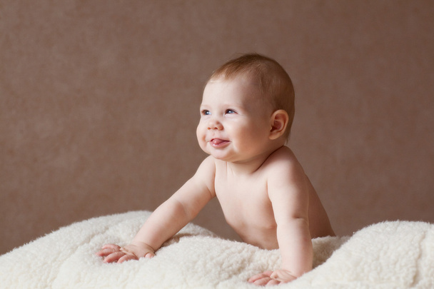 portrait of a baby - Фото, изображение
