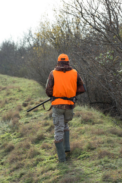 A man with a gun in his hands and an orange vest on a pheasant hunt in a wooded area in cloudy weather. Hunter with dogs in search of game. - Photo, Image