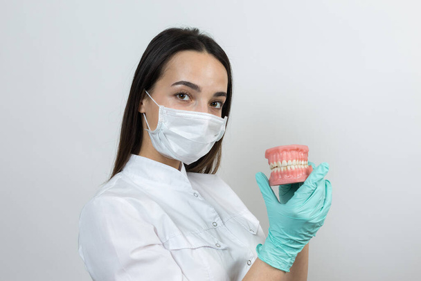 Ragazza medico dentista in un camice bianco tiene un finto di denti
. - Foto, immagini