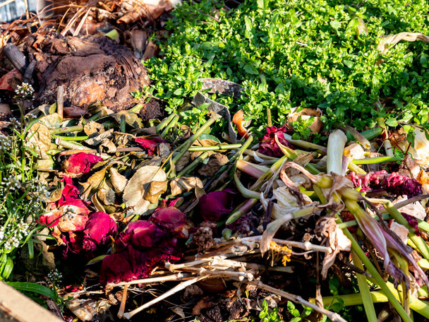 Orgaaninen jäte kompostissa - Valokuva, kuva