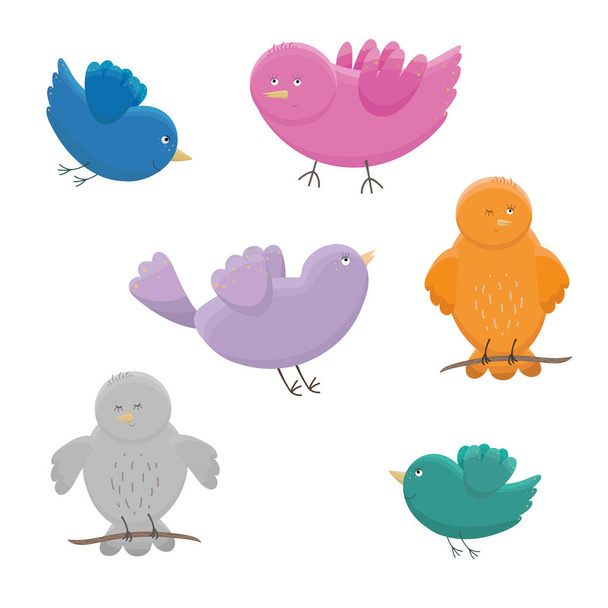 Set of cute birds in different colors and poses on white background. Cartoon style. Birds illustration. Funny birds vector design. T-shirt graphic. Prints, greeting cards, textile art works. - Вектор, зображення