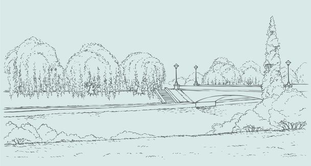 Vector landscape. Park with a bridge over the river and willows - Vector, Image