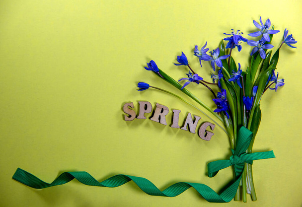 Ramo de flores frescas de campanas azules con cinta verde sobre un fondo amarillo. Palabra de primavera hecha de letras de madera. Vista superior, plano, espacio para copiar
. - Foto, Imagen