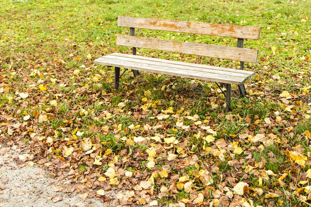 ławka w parku - Zdjęcie, obraz