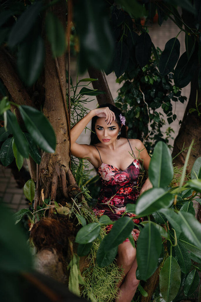 A young beautiful brunette posing among dense thickets of jungle and rainforest. Spa - Φωτογραφία, εικόνα