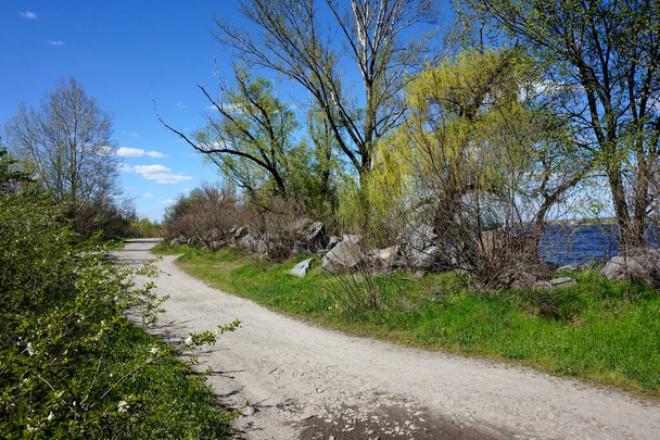 Un amplio camino de tierra a la orilla del río en el bosque o parque de primavera
. - Foto, imagen