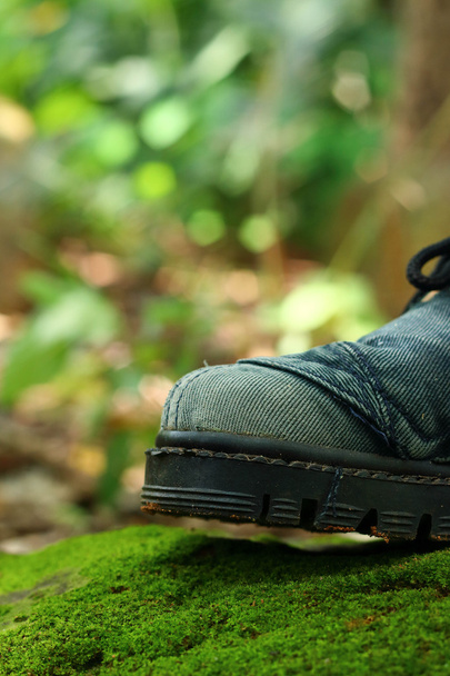 Old shoes on a moss green. - Photo, Image