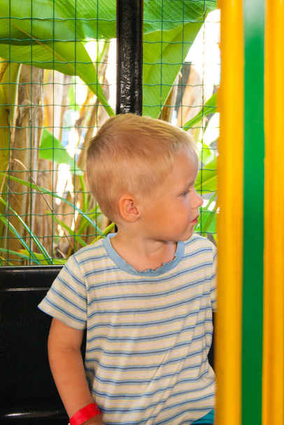 Een driejarig jongetje rijdt in een geel-groene kindertrein in een pretpark in Riviera, Sochi, tegenover de kijker. Rust, tropen, rust, activering. Verticale foto - Foto, afbeelding