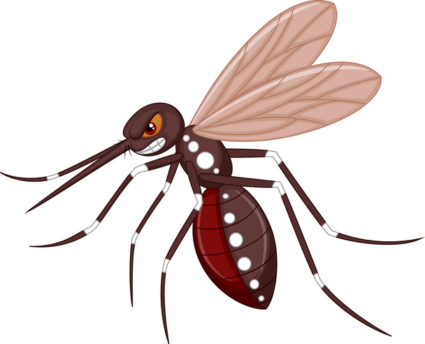rozzlobený komár kreslený - Vektor, obrázek