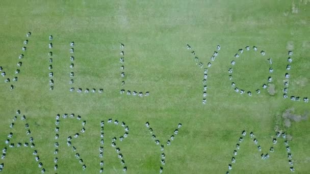 Huwelijksaanzoek in bloemen op groen gazon, gezien vanuit de lucht drone birdseye uitzicht. - Video