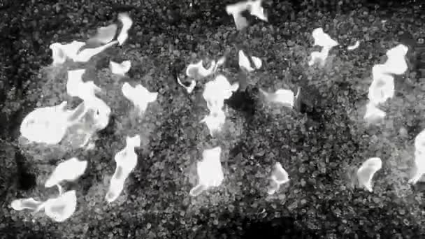 Flames flickering in fire pit, viewed from above, slow motion black and white - Footage, Video
