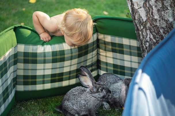 Милый очаровательный любопытный белый блондин мальчик сделать коврик забор для кролика и посмотреть открыть для себя домашнего животного жизни. Забавное детское питание и уход за кроликами в саду в летний день
. - Фото, изображение