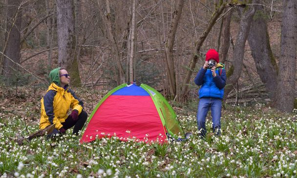 A tent in a forest with snowdrops, a family in spring resting on a country walk among wild trees and a large number of beautiful white fragrant flowers. The child has an old retro camera - Zdjęcie, obraz