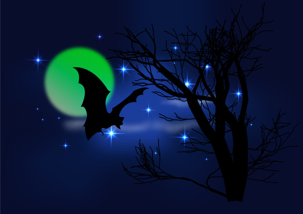 vleermuis en maanlicht hemel - Vector, afbeelding