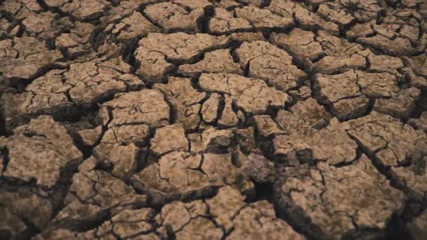 Woestijn tijdens een harde droogte met grote scheuren in de waterloze droge grond. Een wereldwijde catastrofe. Opwarmingsconcept. - Video