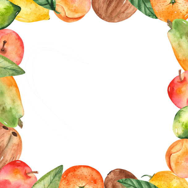 Fruits orange and green plants. Watercolor hand painted square frame - Φωτογραφία, εικόνα