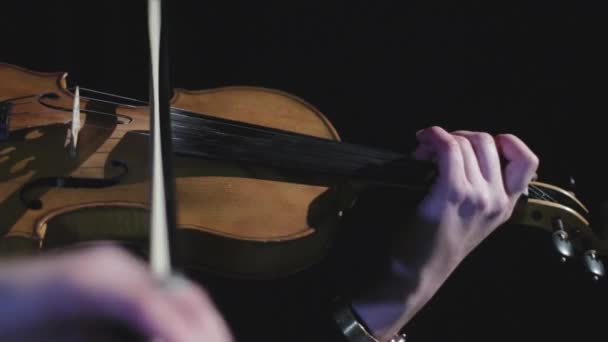 Musician performing on a violin. Classical performance in a theater. Symphonic orchestra concert. - Filmmaterial, Video