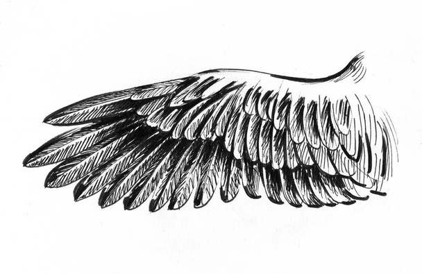 Vogelflügel. Tusche Schwarz-Weiß-Zeichnung - Foto, Bild